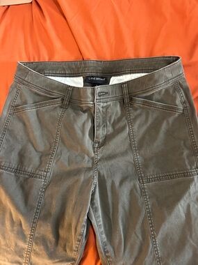 Lane Bryant Women’s Olive Skinny Jeans